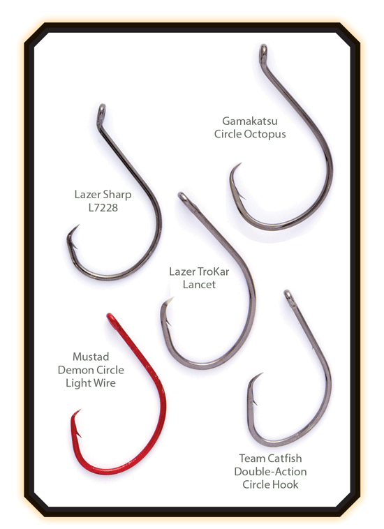 Types of Circle Hooks - Which Type of Circle Hook Should You Be