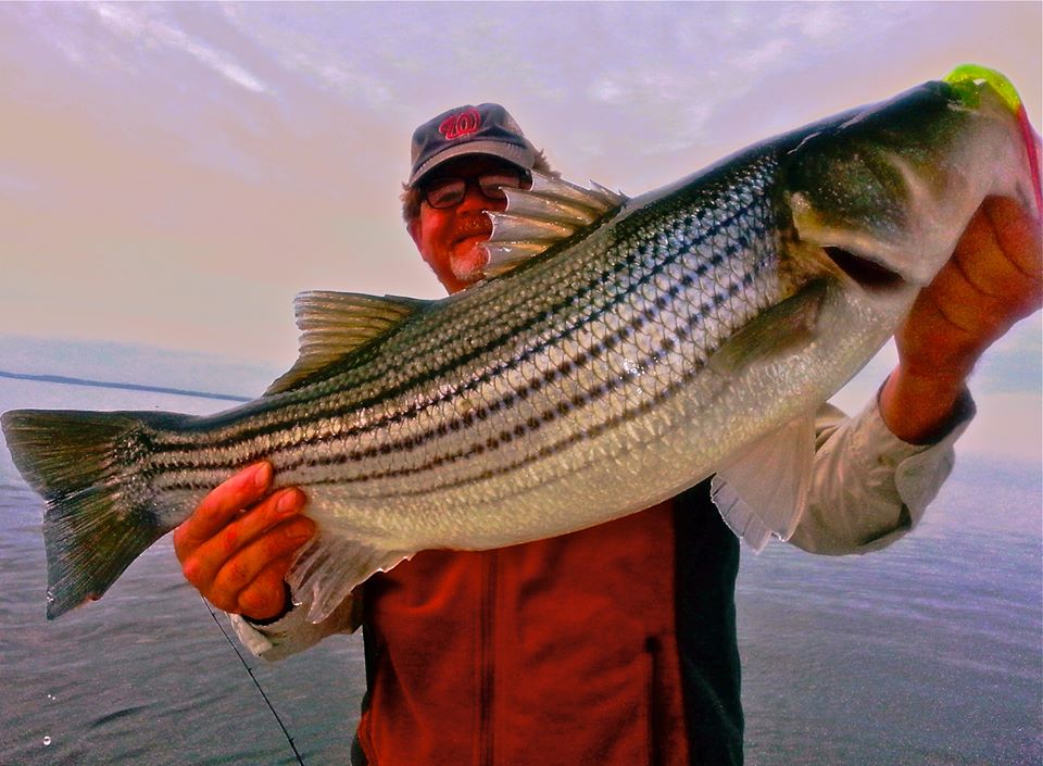 Tips For Stepping Up Your Game - Chesapeake Light Tackle