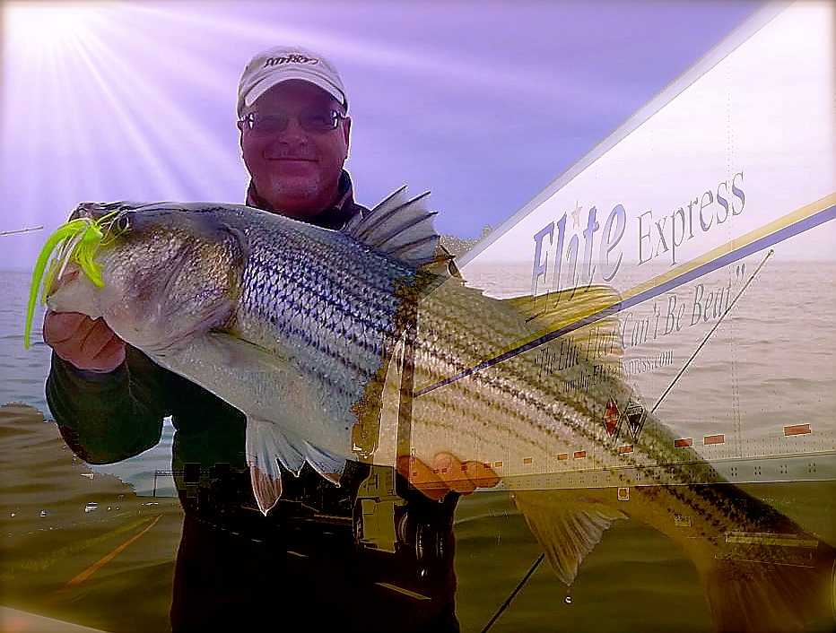 The Elite Express – Fall Patterns - Chesapeake Light Tackle